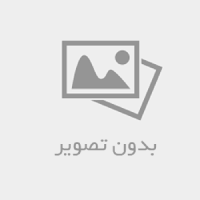 شاپیگان
